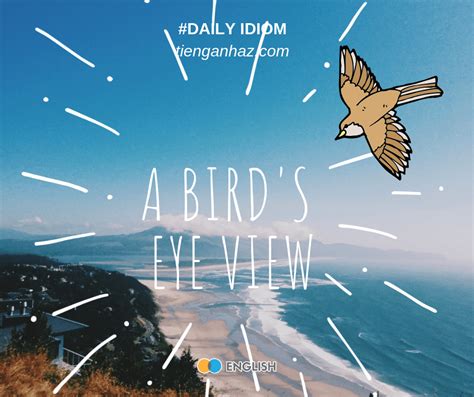 a bird eye view idiom sentence|Bird's.